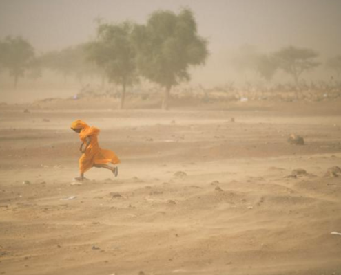 I crescenti tassi di degrado del territorio contribuiscono ad aumentare una serie di sfide globali, tra cui l'insicurezza alimentare e idrica, i trasferimenti forzati e le migrazioni della popolazione, i disordini sociali e la disuguaglianza economica. FOTO: UNCCD.