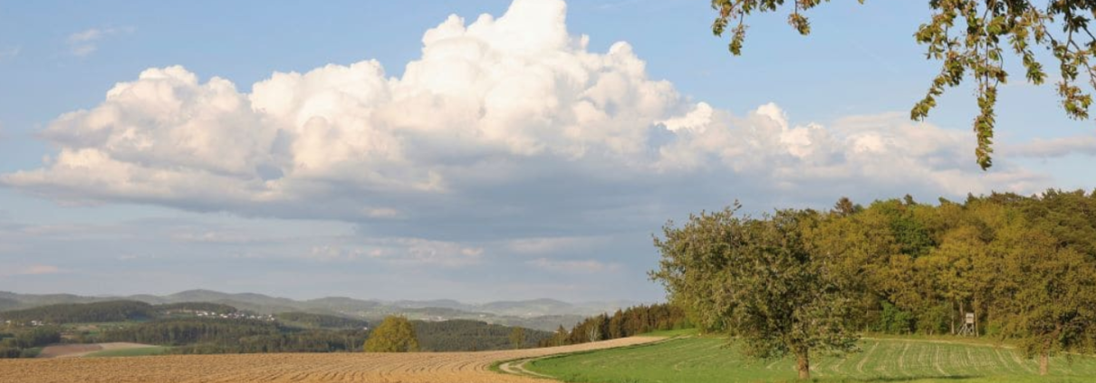 Secondo il CESE, "l’attuale quadro dell’UE non promuove in misura sufficiente le forme rigenerative di agricoltura". FOTO: Envato