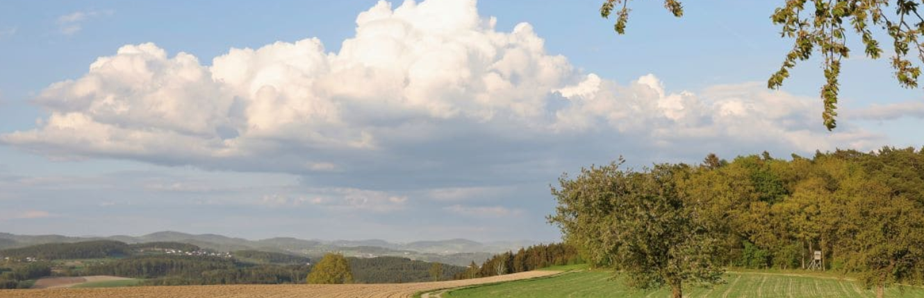 Secondo il CESE, "l’attuale quadro dell’UE non promuove in misura sufficiente le forme rigenerative di agricoltura". FOTO: Envato