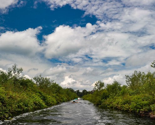 Nearly 30 billion tons of carbon have been stored for millennia in the Congo peatlands. Photo: Ricky Martin/CIFOR Attribution-NonCommercial-NoDerivs 2.0 Generic CC BY-NC-ND 2.0 Deed