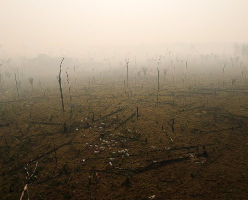 Gli incendi sono la principale causa dello stress termico prolungato nelle foreste tropicali degradate. Foto: Bruno Kelly/Amazônia Real/11/08/2020 Attribution 2.0 Generic CC BY 2.0 Deed