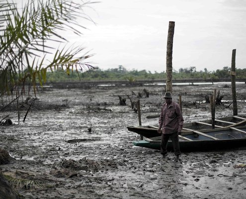 Nel delta del Niger decenni di estrazione incontrollata di petrolio hanno compromesso gravemente i suoli. Foto: Luka Tomac/Friends of the Earth International Attribution-ShareAlike 2.0 Generic CC BY-SA 2.0 Deed