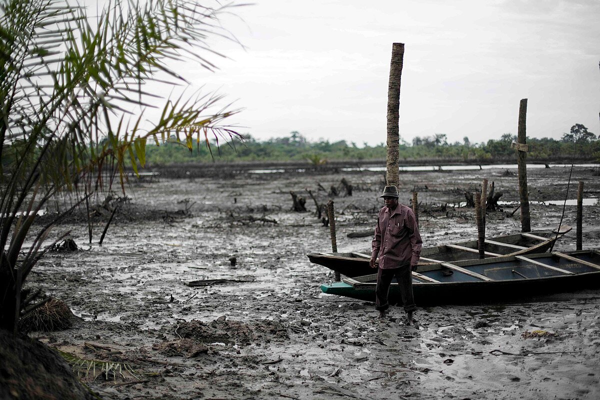 Nel delta del Niger decenni di estrazione incontrollata di petrolio hanno compromesso gravemente i suoli. Foto: Luka Tomac/Friends of the Earth International Attribution-ShareAlike 2.0 Generic CC BY-SA 2.0 Deed