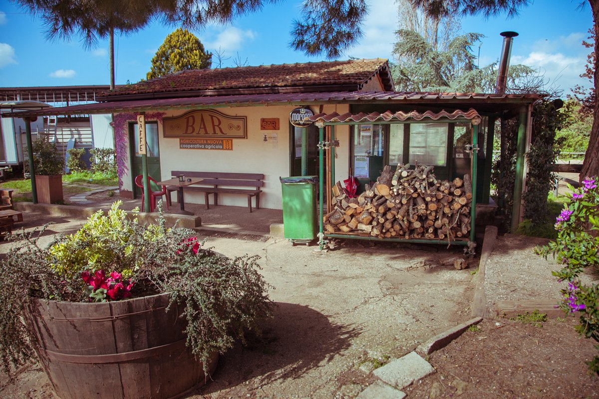 La Cooperativa Agricoltura Nuova nasce nel 1977 per iniziativa di un gruppo di giovani disoccupati, braccianti e contadini. Dal 1990 l'azienda coltiva i propri prodotti con metodo biologico. Foto: Agricoltura Nuova