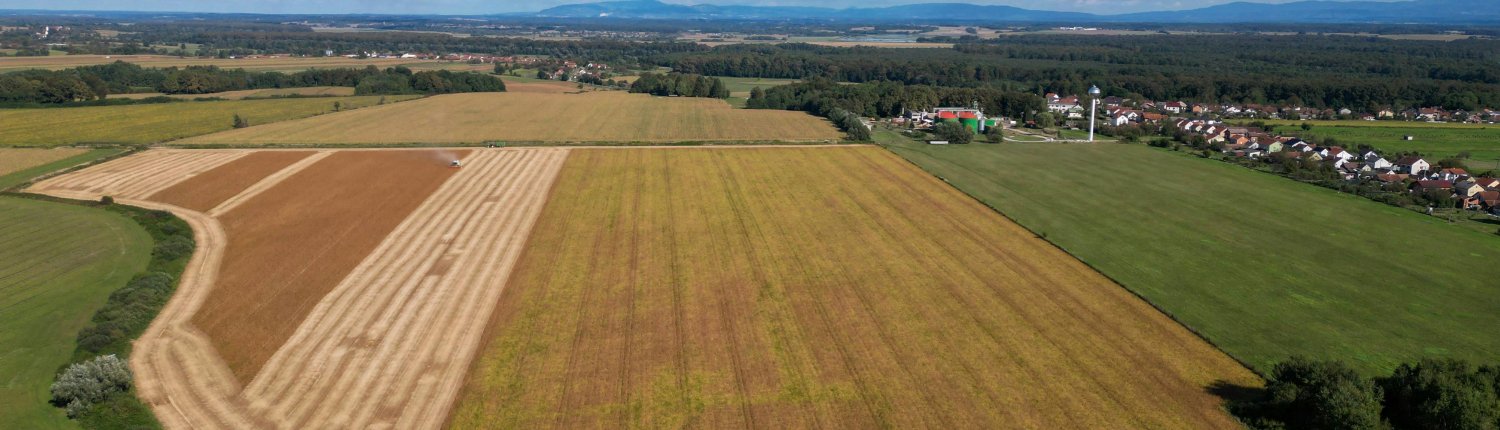 Il taglio del 20% nell’impiego dei fertilizzanti chimici raccomandato dall’Unione Europea non sarebbe sufficiente per raggiungere l’obiettivo fissato dal Green Deal di dimezzare le perdite di nutrienti entro il 2030. Foto: Vladimir Srajber pexels free to use