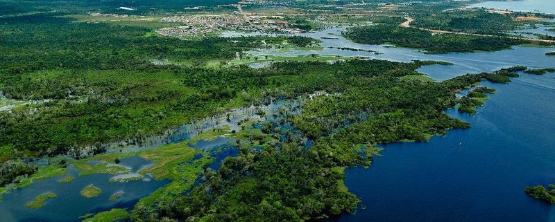 Between 2010 and 2020, carbon losses in the Amazon increased due to deforestation and other underestimated phenomena such as fires and fragmentation. Photo: Neil Palmer/CIAT Attribution-NonCommercial-NoDerivs 2.0 Generic CC BY-NC-ND 2.0 Deed