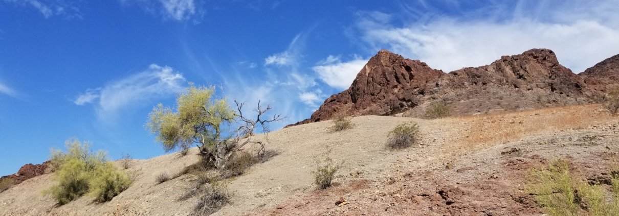 Nei deserti l’impatto delle azioni antropiche ha interessato soprattutto il carbonio organico particolato nel terriccio e quello di origine microbica e vegetale nel sottosuolo. Foto: Circe Denyer CC0 1.0 Universal CC0 1.0 Deed