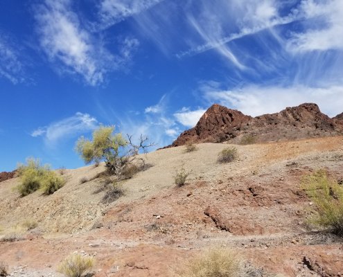 Nei deserti l’impatto delle azioni antropiche ha interessato soprattutto il carbonio organico particolato nel terriccio e quello di origine microbica e vegetale nel sottosuolo. Foto: Circe Denyer CC0 1.0 Universal CC0 1.0 Deed