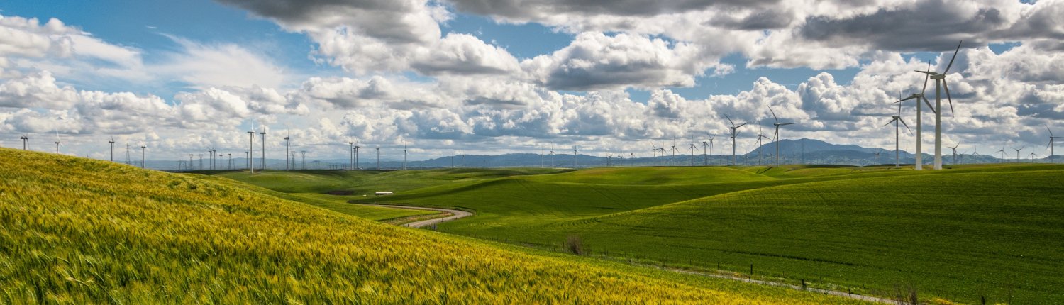 Per recuperare la materia organica perduta e mantenere suoli sani e fertili, è necessario incorporare nel suolo materiali diversi, sia a decomposizione lenta che rapida. Ciò richiede un cambiamento in alcuni paradigmi di gestione agricola. FOTO: Pxhere CC0 Public Domain