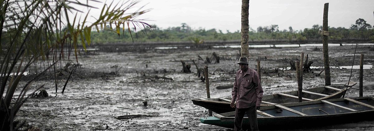 In the Niger Delta, decades of uncontrolled oil extraction have severely compromised the soil. Photo: Luka Tomac/Friends of the Earth International Attribution-ShareAlike 2.0 Generic CC BY-SA 2.0 Deed