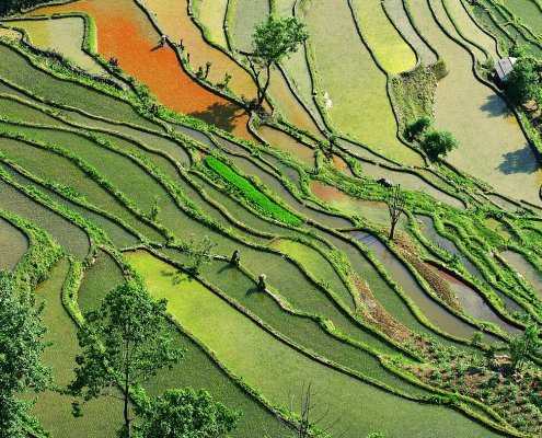 In quattro decenni il suolo del Pianeta è diventato complessivamente più verde. Ma anche più arido. Foto: Jialiang Gao Attribution-ShareAlike 3.0 Unported CC BY-SA 3.0 Deed