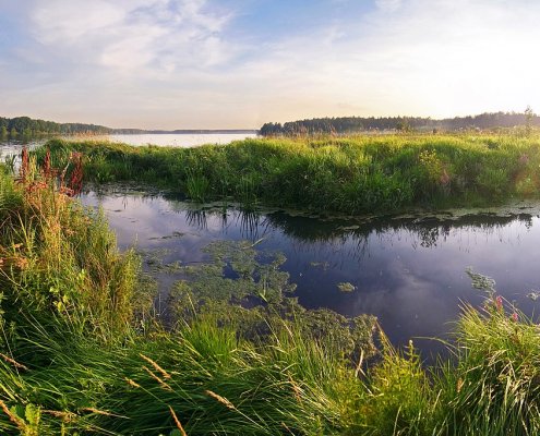 Wetlands sequestered an average of one billion tons of carbon per year in the first two decades of the 21st century. Photo: Svetlana Makarova Attribution-ShareAlike 2.0 Generic CC BY-SA 2.0 Deed