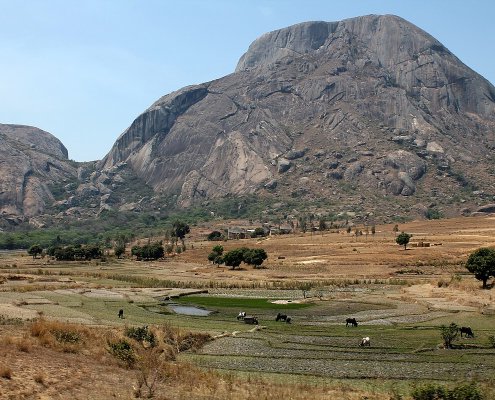 Climate change is contributing to the loss of species diversity in mountainous areas in Africa. Madagascar is among the most affected areas on the continent. Photo: Heinonlein Attribution-ShareAlike 4.0 International CC BY-SA 4.0 Deed