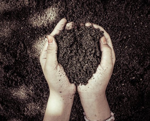 By distinguishing between stable and unstable forms of carbon accumulation, the microbial pump-based assessment system allows for a more reliable evaluation of sustainable soil management practices. Photo: Rain Photography Pexels free to use