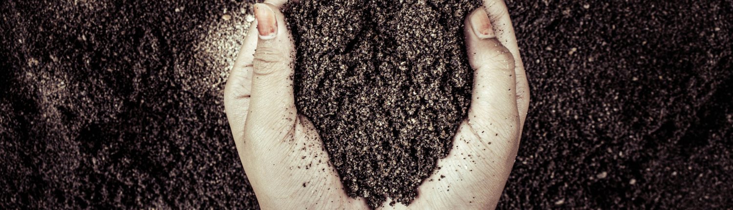 Distinguendo tra forme stabili e instabili di accumulo di carbonio il sistema di valutazione basato sulla pompa microbica consente una valutazione più attendibile delle pratiche di gestione sostenibile del suolo. Foto: Rain Photography Pexels free to use