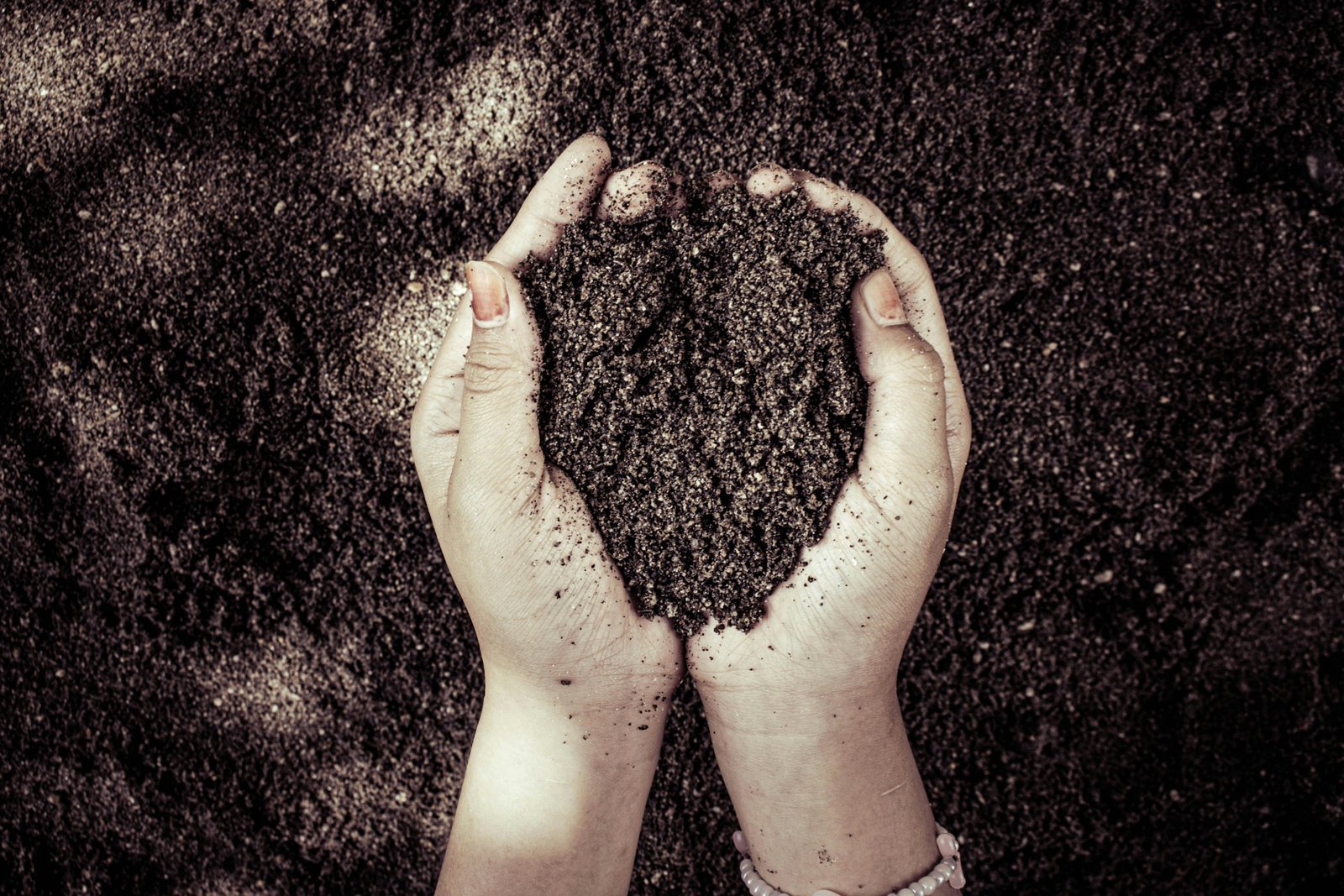 Distinguendo tra forme stabili e instabili di accumulo di carbonio il sistema di valutazione basato sulla pompa microbica consente una valutazione più attendibile delle pratiche di gestione sostenibile del suolo. Foto: Rain Photography Pexels free to use