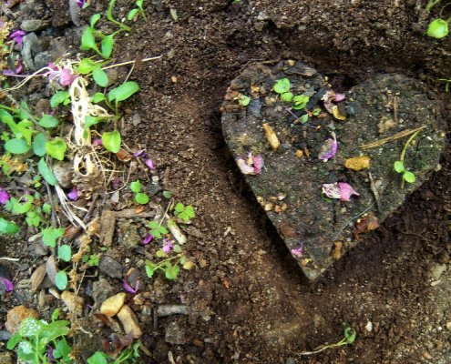 Attraverso i microbi la qualità dei suoli e degli ecosistemi potrebbe influire sul nostro benessere relazionale ed emotivo. Foto: cryptovalence Attribution-NonCommercial-ShareAlike 2.0 Generic CC BY-NC-SA 2.0 Deed