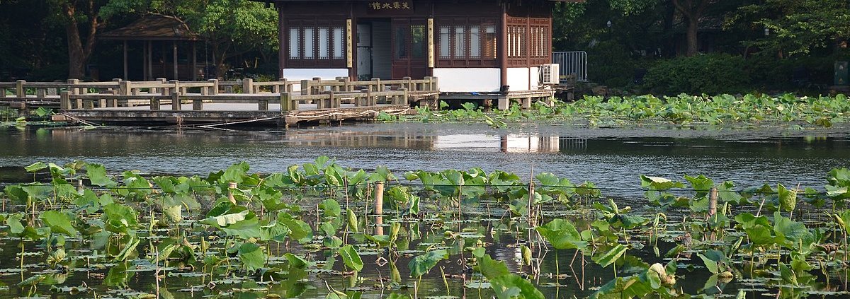 In wetlands, diversity improves both nitrogen retention and removal processes, but has a more pronounced effect on the latter. Photo: shankar s. Attribution 2.0 Generic CC BY 2.0 Deed