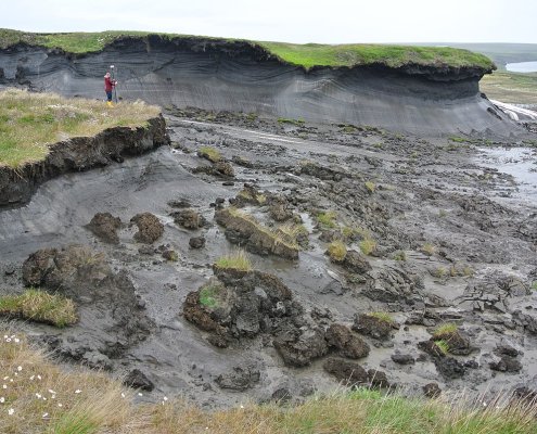 Il permafrost, ricordano gli autori, copre circa il 17% della superficie terrestre globale e immagazzina circa un terzo del carbonio organico presente nel suolo del Pianeta. Foto: Boris Radosavljevic Attribution 2.0 Generic CC BY 2.0 Deed
