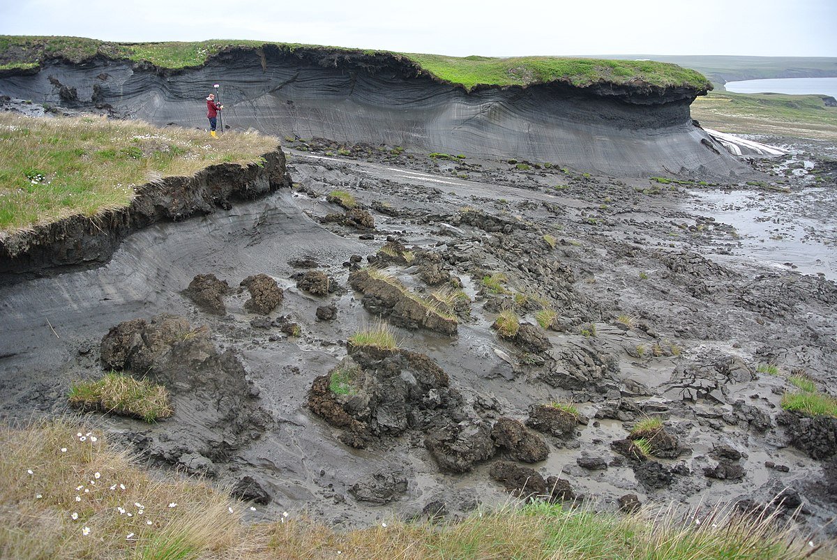 Il permafrost, ricordano gli autori, copre circa il 17% della superficie terrestre globale e immagazzina circa un terzo del carbonio organico presente nel suolo del Pianeta. Foto: Boris Radosavljevic Attribution 2.0 Generic CC BY 2.0 Deed
