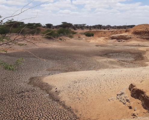 Il Rapporto SOFA 2025 della FAO fornisce l'analisi più completa fino ad oggi su come il degrado dei suoli causato dall'uomo influisca sulle rese dei raccolti, identifica i punti critici di vulnerabilità globale ed esamina dove queste perdite si intersecano con la povertà, la fame e altre forme di malnutrizione. FOTO: ©FAO/Lorenzo Moncada