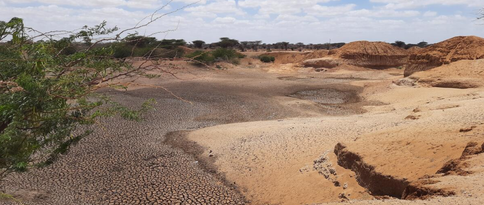 Il Rapporto SOFA 2025 della FAO fornisce l'analisi più completa fino ad oggi su come il degrado dei suoli causato dall'uomo influisca sulle rese dei raccolti, identifica i punti critici di vulnerabilità globale ed esamina dove queste perdite si intersecano con la povertà, la fame e altre forme di malnutrizione. FOTO: ©FAO/Lorenzo Moncada