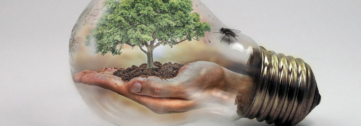 The new Bioeconomy Strategy formulated by the European Commission aims to promote green growth, competitiveness, and resilience in the EU. PHOTO: Iván Tamás by Pixabay