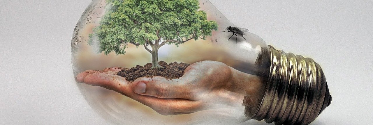 The new Bioeconomy Strategy formulated by the European Commission aims to promote green growth, competitiveness, and resilience in the EU. PHOTO: Iván Tamás by Pixabay