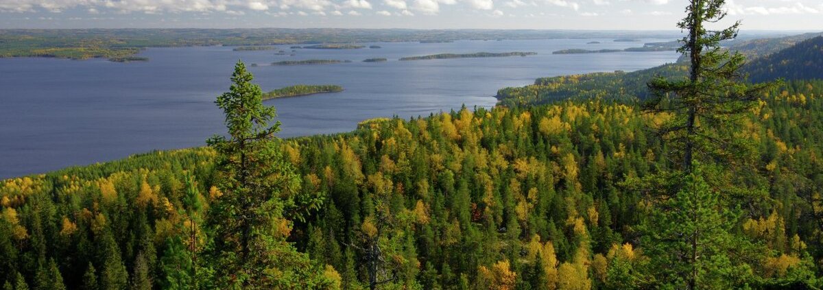 A wooded area in Koli National Park in the Finnish region of North Karelia. Here, as in many other regions of Europe, nature-based solutions reduce the risk of fires and make forests more resilient. Photo: Pentti Rautio Attribution-ShareAlike 3.0 Unported CC BY-SA 3.0 Deed