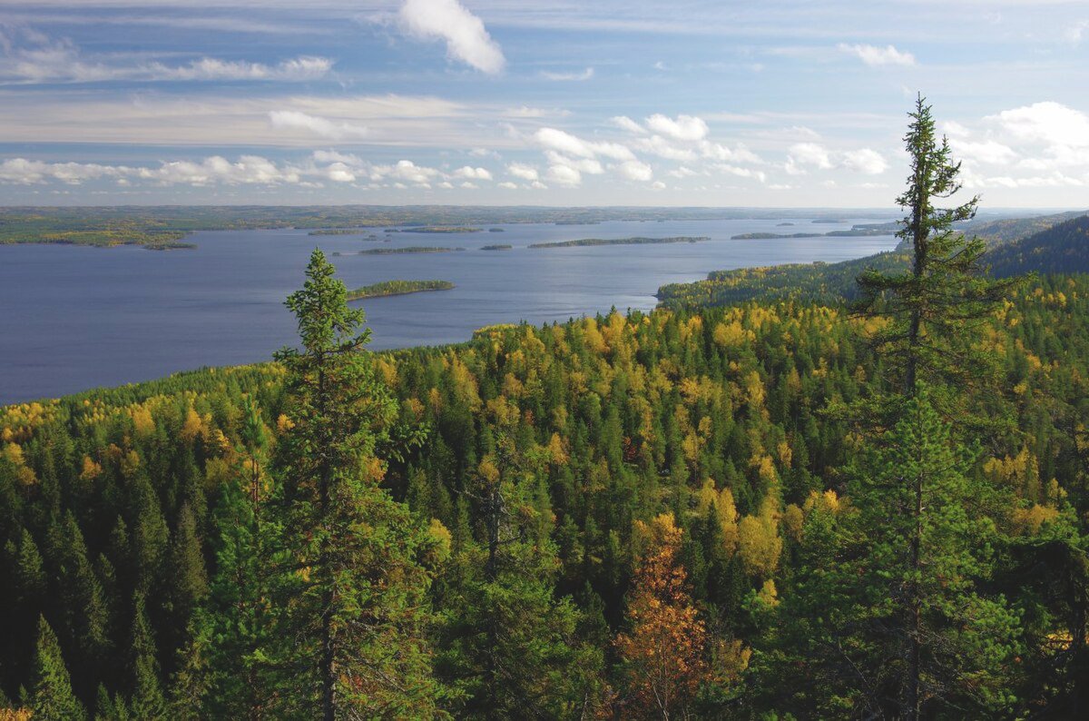 Un’area boschiva nel Parco Nazionale di Koli nella regione finlandese della Karelia settentrionale, Anche qui, come in molte altre regioni d’Europa, le soluzioni basate sulla natura riducono il rischio di incendi e rendono le foreste più resilienti. Foto: Pentti Rautio Attribution-ShareAlike 3.0 Unported CC BY-SA 3.0 Deed
