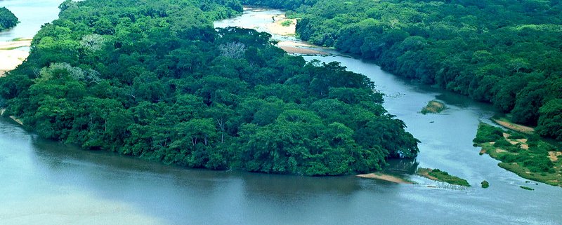 Le aree agricole di 155 Paesi dipendono dalle foreste di altre nazioni per una quota massima pari al 40% delle precipitazioni annuali. Foto: Peter Prokosch Attribution-NonCommercial-ShareAlike 2.0 Generic CC BY-NC-SA 2.0 Deed