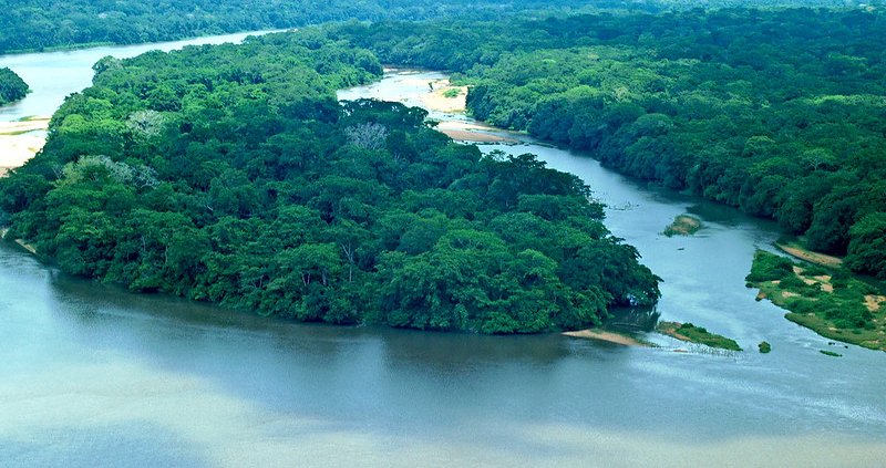 Le aree agricole di 155 Paesi dipendono dalle foreste di altre nazioni per una quota massima pari al 40% delle precipitazioni annuali. Foto: Peter Prokosch Attribution-NonCommercial-ShareAlike 2.0 Generic CC BY-NC-SA 2.0 Deed