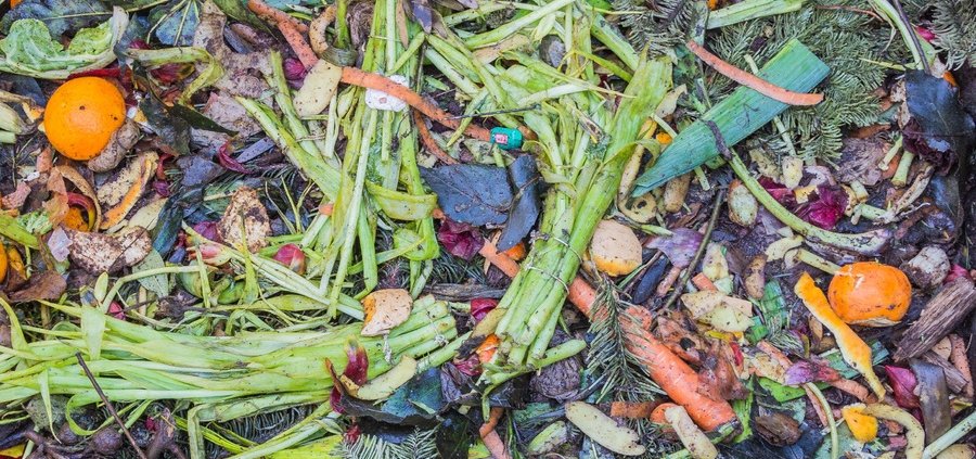 Le applicazioni compostabili aiutano a migliorare quantità e qualità della raccolta dei rifiuti organici. FOTO: Pxhere - CC0