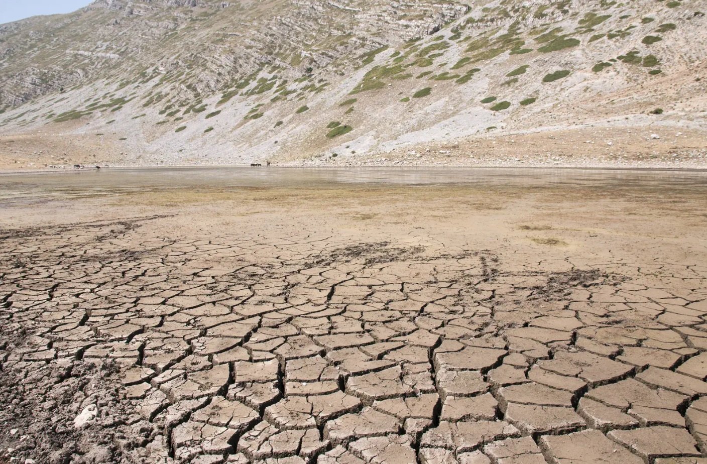 Effetti della siccità del 2017 nel Mediterraneo (Italia, Lago della Duchessa). Tra i fattori che hanno contribuito alla sedicesima posizione nella classifica globale del Climate Risk Index occupata dalla Penisola c’è la forte esposizione dell’Europa meridionale a fenomeni come le ondate di calore e la siccità. Foto: Pamela Trisolino (distributed via imaggeo.egu.eu) Attribution-NonCommercial-NoDerivs 3.0 Unported CC BY-NC-ND 3.0 Deed