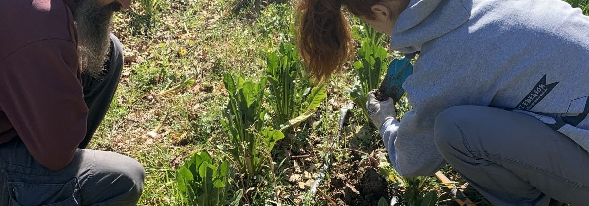 La Scoscesa è una Lighthouse Farm che applica l'agricoltura naturale coreana sfruttando il ruolo dei microrganismi per fertilizzare il suolo. Foto: Caterina Capri, Re Soil