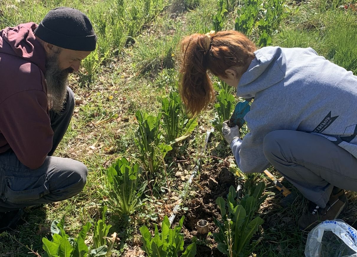 La Scoscesa è una Lighthouse Farm che applica l'agricoltura naturale coreana sfruttando il ruolo dei microrganismi per fertilizzare il suolo. Foto: Caterina Capri, Re Soil