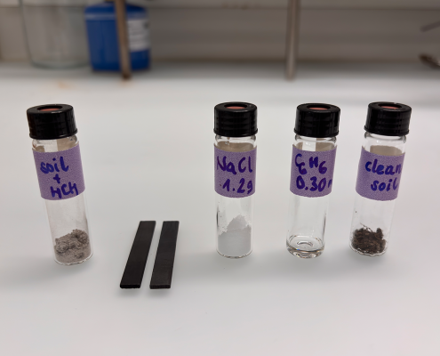 Dai contaminanti del terreno si possono ottenere sostanze innocue come il sale da cucina e altri prodotti preziosi come il benzene. Foto: Patrick Domke / ETH Zurich, per uso non commerciale