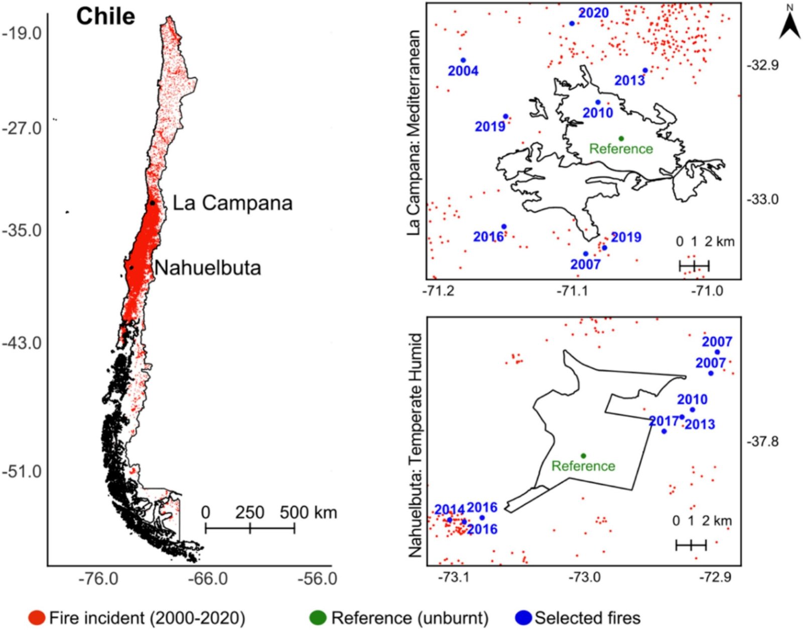 Mappa del Cile con gli incendi boschivi dal 2000 (punti rossi) e i due siti di studio (punti neri) (a sinistra); mappe ingrandite dei siti di studio a destra per Nahuelbuta (in alto) e La Campana (in basso), in cui le cronosequenze selezionate sono mostrate in blu e i siti di controllo (senza incendi storici) in verde (a destra). I dati sugli incendi sono stati ottenuti dai dati terrestri FIRM ad accesso aperto della NASA (https://earthdata.nasa.gov/firms) e le mappe sono state create utilizzando QGIS. I confini amministrativi del Cile sono stati utilizzati da DIVA-GIS. FONTE: Post-fire recovery of temperate and mediterranean ecosystems: An interplay between fire severity, soil nutrients, and vegetation from early-stage to decadal-scale dynamics,CATENA, 2025.