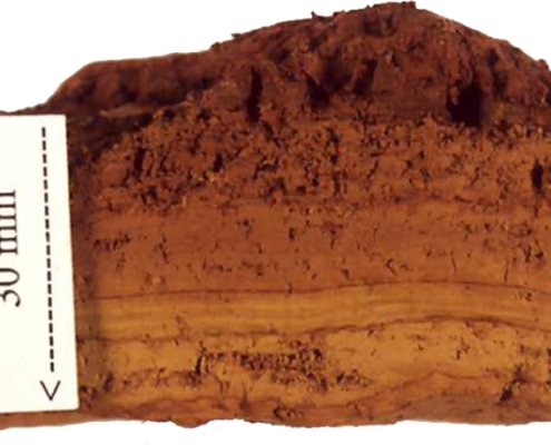 The surface of ferrihydrite has mixed areas of positive and negative charges, allowing it to attract both negatively charged substances such as phosphates and positively charged substances such as metal ions. Photo: Jerry Bigham Attribution-ShareAlike 3.0 Unported CC BY-SA 3.0 Deed