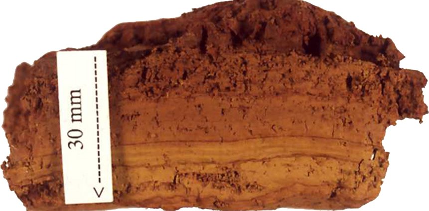 The surface of ferrihydrite has mixed areas of positive and negative charges, allowing it to attract both negatively charged substances such as phosphates and positively charged substances such as metal ions. Photo: Jerry Bigham Attribution-ShareAlike 3.0 Unported CC BY-SA 3.0 Deed
