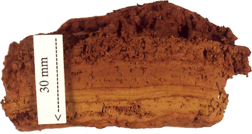 The surface of ferrihydrite has mixed areas of positive and negative charges, allowing it to attract both negatively charged substances such as phosphates and positively charged substances such as metal ions. Photo: Jerry Bigham Attribution-ShareAlike 3.0 Unported CC BY-SA 3.0 Deed