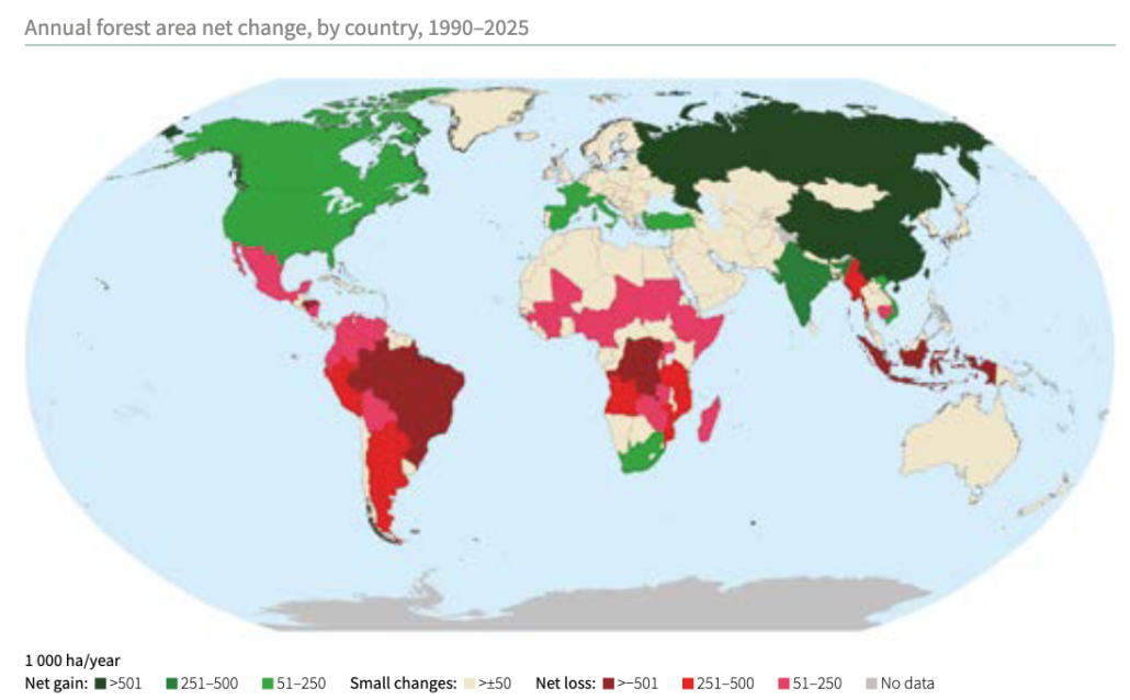 Perdita netta di superficie forestale, divisa per Stato. Periodo 1990-2025. FONTE: Global Forest Resources Assessment 2025.