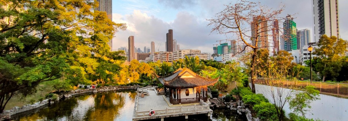 Between 2000 and 2020, approximately 90% of cities worldwide recorded an increase in the extension of urban forests. Photo: vgnavada from the WordPress Photo Directory CC0 1.0 Universal CC0 1.0 Deed