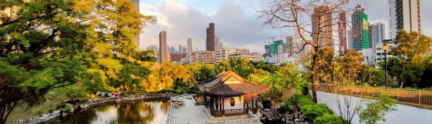 Between 2000 and 2020, approximately 90% of cities worldwide recorded an increase in the extension of urban forests. Photo: vgnavada from the WordPress Photo Directory CC0 1.0 Universal CC0 1.0 Deed