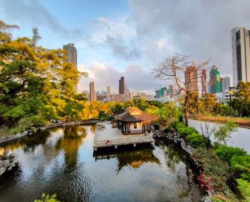 Between 2000 and 2020, approximately 90% of cities worldwide recorded an increase in the extension of urban forests. Photo: vgnavada from the WordPress Photo Directory CC0 1.0 Universal CC0 1.0 Deed