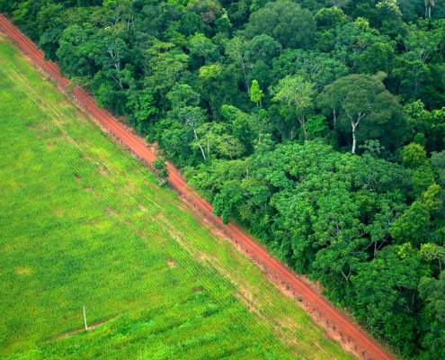 The construction of new roads is a particularly significant sign of deforestation. However, many of them are difficult to identify. Photo: Kate Evans/CIFOR Attribution-NonCommercial-NoDerivs 2.0 Generic CC BY-NC-ND 2.0 Deed
