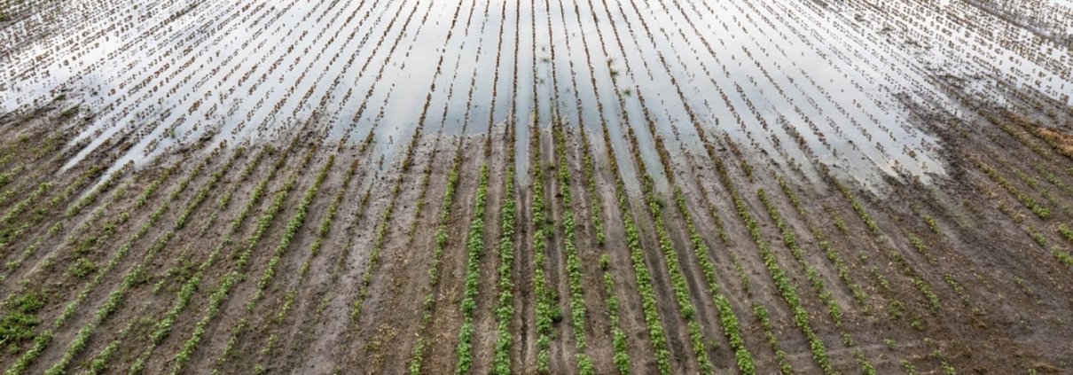 The results of the Chinese study revealed divergent trends: soil moisture decreased between 1980 and 2023, but the trend reversed after 2010. Image: U.S. Department of Agriculture (USDA) CC0 1.0 Universal CC0 1.0 Deed