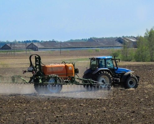 Pesticides have a significant impact on various beneficial organisms in the soil, such as mycorrhizal fungi and nematodes, compromising biodiversity. Photo: Maasaak: Attribution-ShareAlike 4.0 International CC BY-SA 4.0 Deed