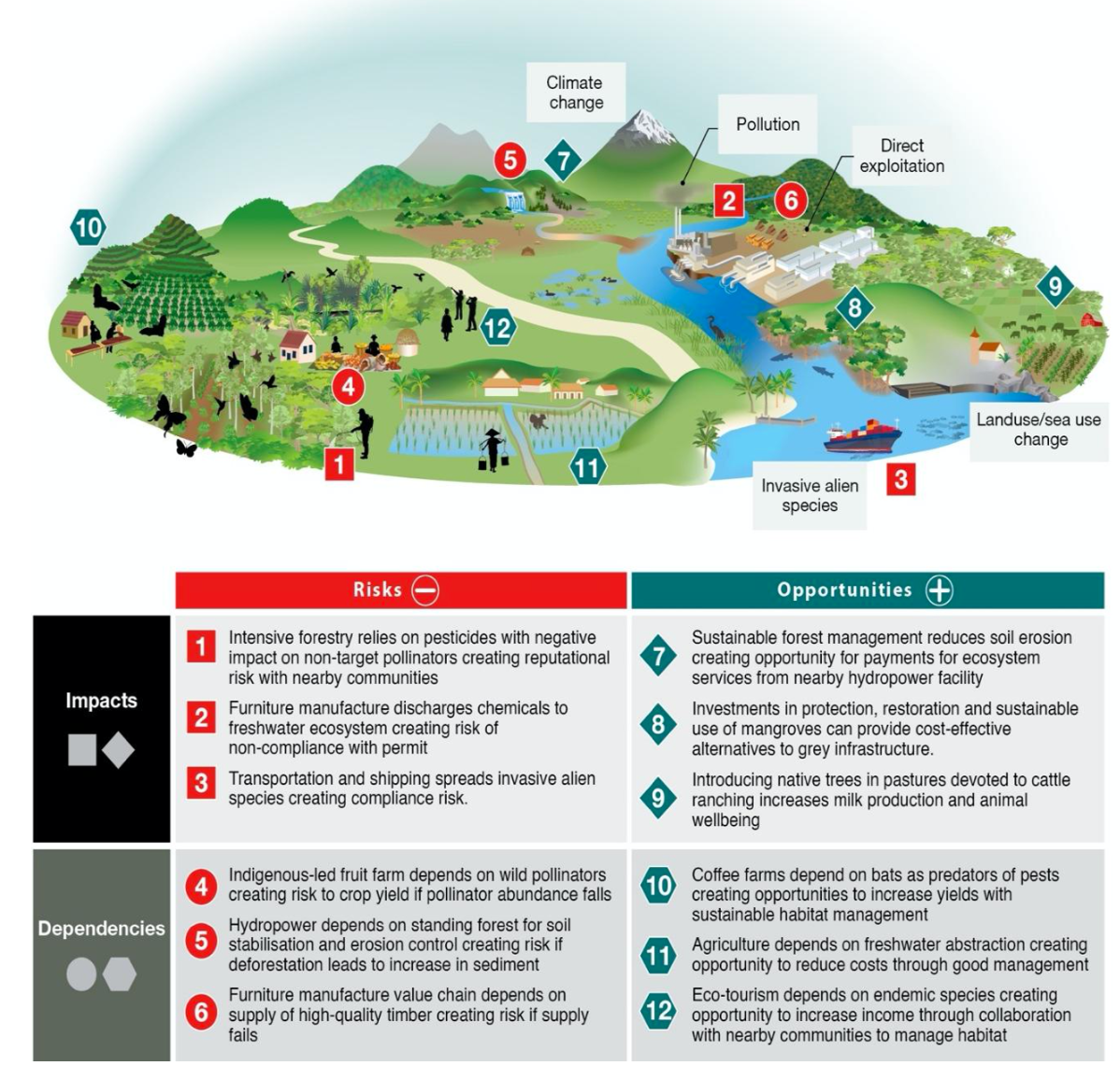Esempi di intersezioni tra impatti, dipendenze, rischi e opportunità. FONTE: IPBES 2026.
