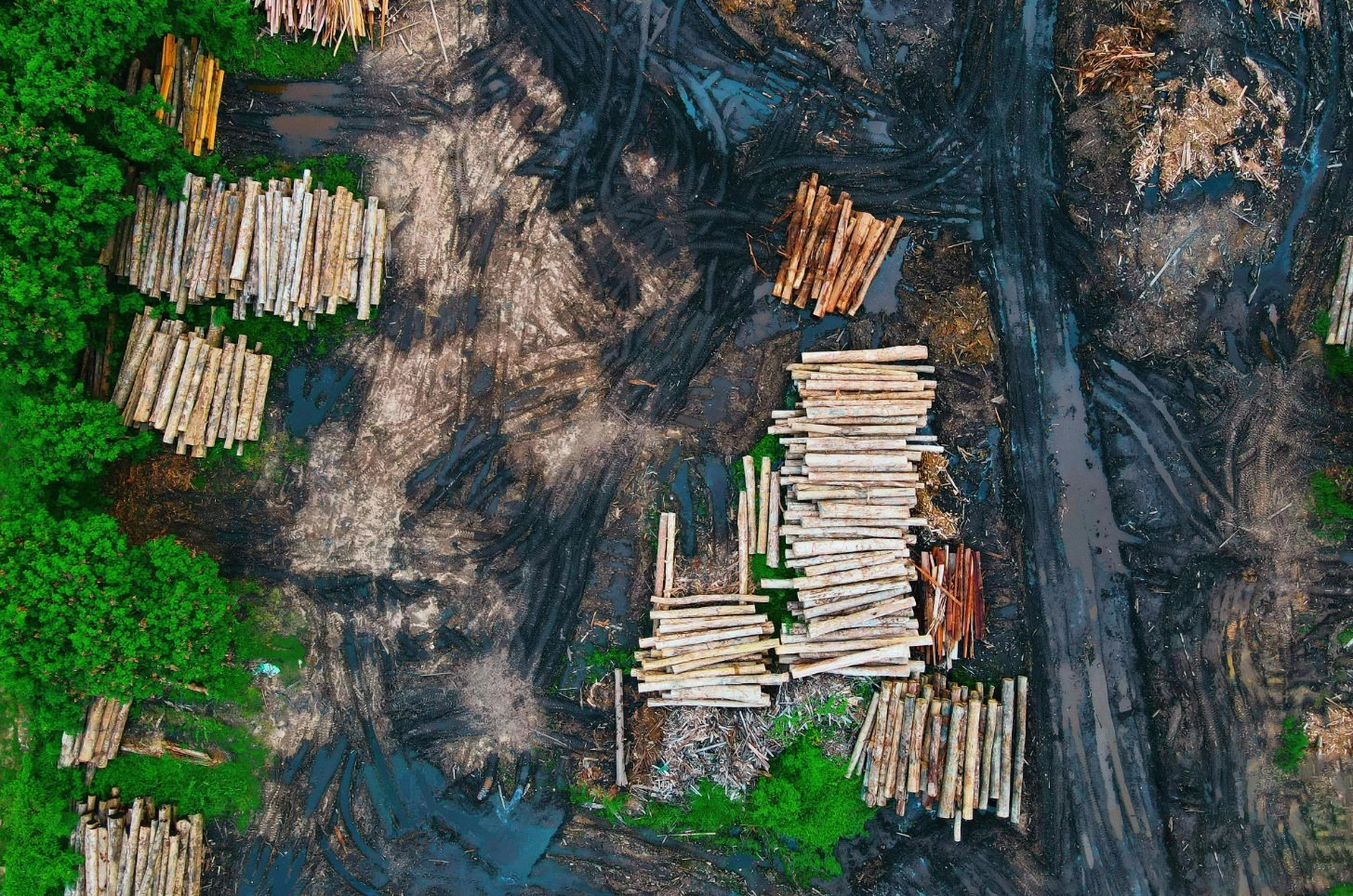In Southeast Asia, deforestation and land conversion have released more carbon and greenhouse gases than any other activity over the past two decades. Photo: Pok Rie Pexels free to use